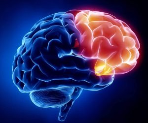 neurologie