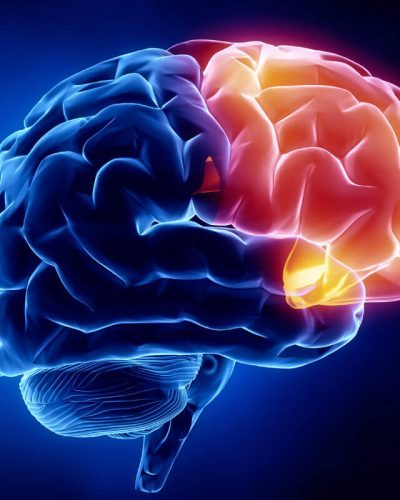 neurologie